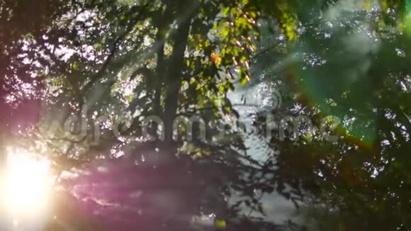 白烟升起在树林里开火户外娱乐活动夏日时光树的绿叶背景在4K视频的预览图