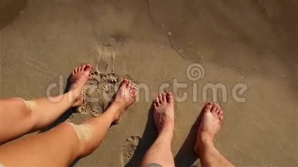 在沙滩和海浪中飞翔视频的预览图