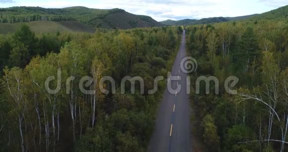 无人驾驶飞机飞越秋林小径视频的预览图