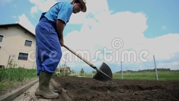 农夫捡起一块植物把它扔进了田里的蔬菜里视频的预览图