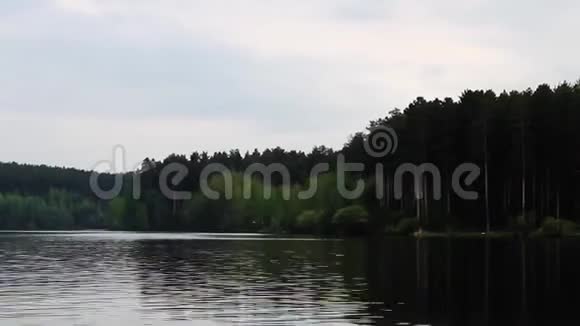 镜头越过湖面的通道湖对岸的森林视频的预览图
