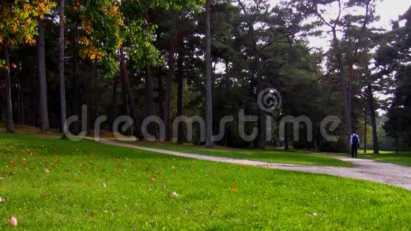 公园里孤独的步行者视频的预览图