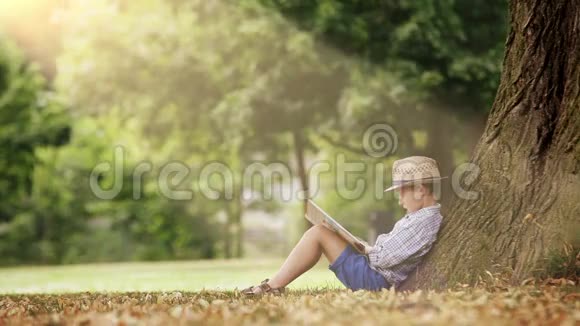 一个男孩坐在阳光照耀下的树下看书视频的预览图