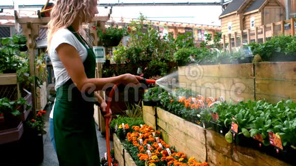 用水管浇灌女性花卉植物视频的预览图