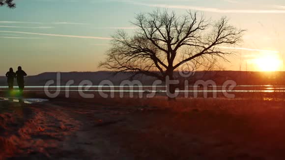 剪影两人在夕阳下的路上独自站在树上剪影运动青年在生活方式中奔跑视频的预览图