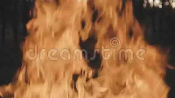 关闭燃烧之火火灾背景壁炉中缓慢燃烧的火视频的预览图