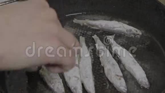 煎锅里的鱼我闻到了Slog视频的预览图