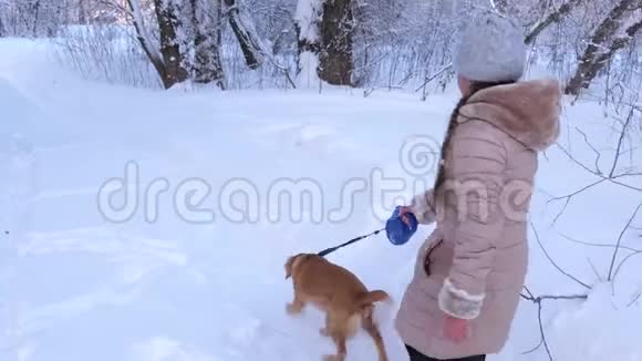 冬天孩子女孩狗和狗在公园的小路上散步幸福的家庭在散步他们的宠物孩子们玩狗视频的预览图
