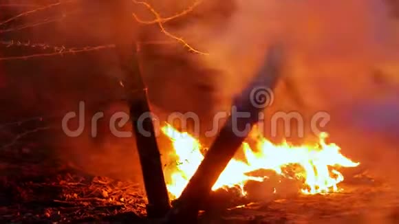 夜间一片燃烧的森林视频的预览图