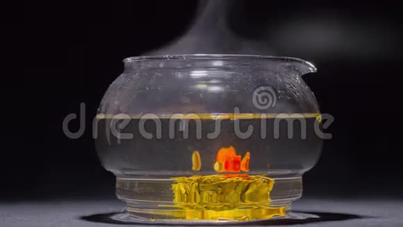 绿油油的中国茶花苞绽放在玻璃茶壶里4k计时视频的预览图
