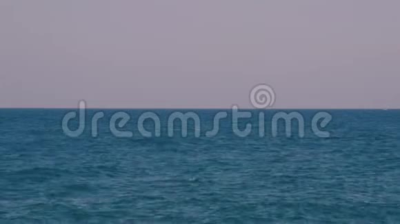 在一个多风的夏天乘坐帆船俯瞰亚得里亚海全景视频的预览图