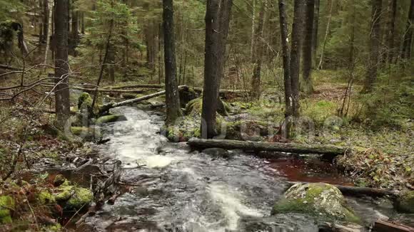 林溪流下来视频的预览图