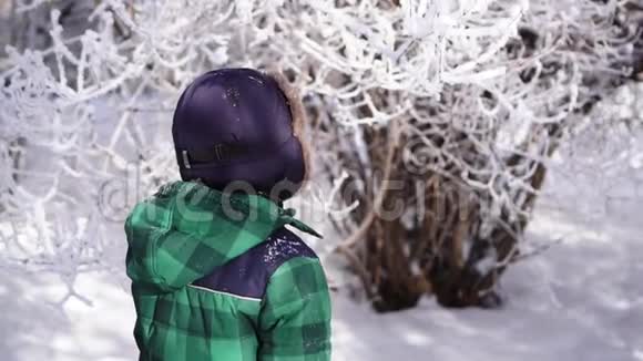 快乐迷人的孩子摇着一根白雪覆盖的树枝慢悠悠的动作视频的预览图