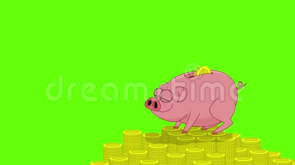 小猪钱箱视频的预览图