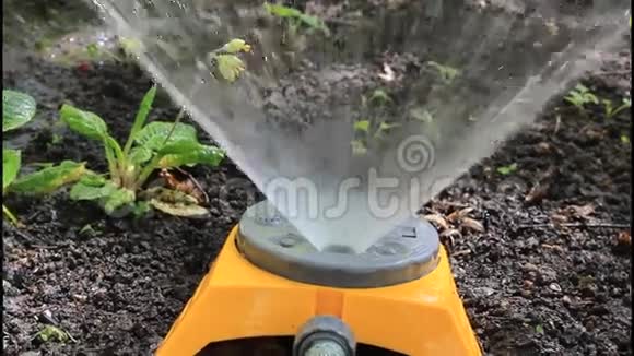 给花园浇水视频的预览图