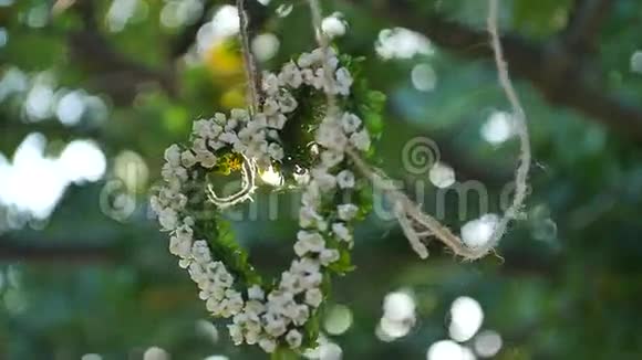 白色的花朵以心脏的形式视频的预览图