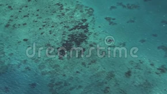 从大堡礁外礁直升机上拍摄的空中变焦镜头视频的预览图