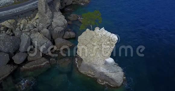 卡德雷加的岩石海洋松树鸟瞰海滨之间的圣玛格丽塔利图和波托菲诺利古里亚意大利视频的预览图