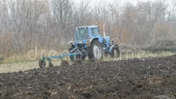 深秋一辆蓝色拖拉机犁出黑色的土壤冬季地面准备视频的预览图