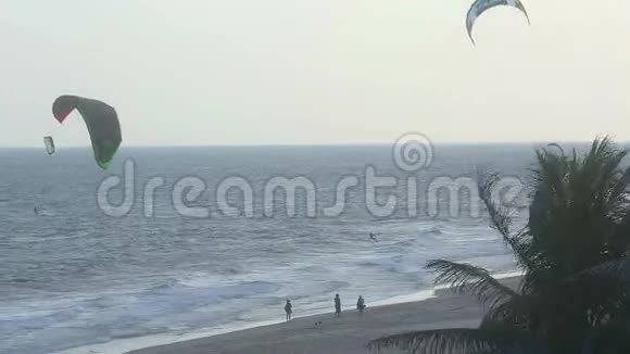 风筝冲浪者上岸视频的预览图