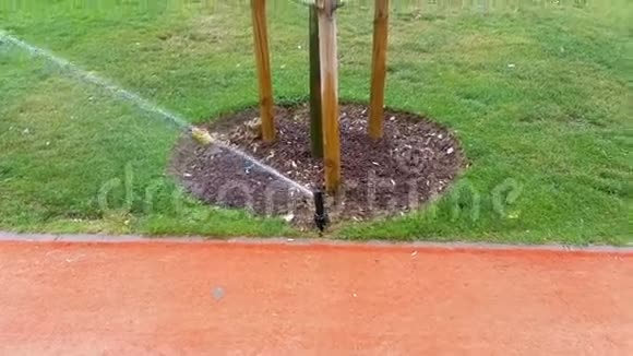 公园里一棵树旁边的洒水器视频的预览图