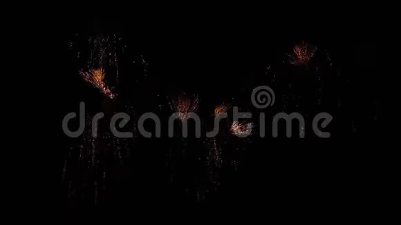美丽的烟花爆炸节在晚上视频的预览图