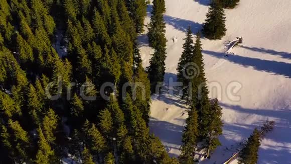 绿色的森林和雪山空中的冬季景象视频的预览图