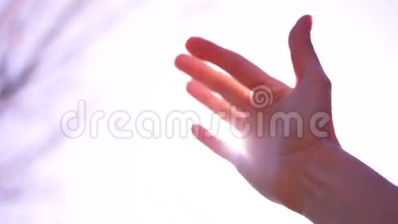 太阳的射线穿过手指棕榈视频的预览图