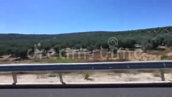 橄榄树从车辆上看风景视频的预览图