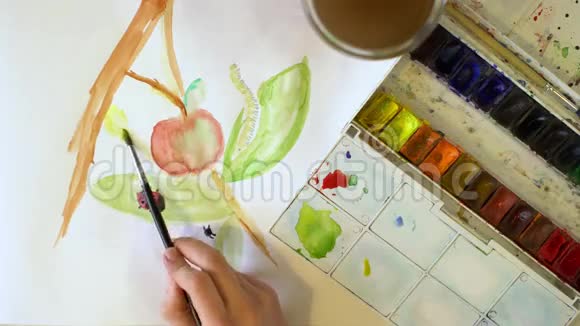 一个年轻的女孩在一张白纸上画水彩颜料用刷子蝴蝶上景视频的预览图
