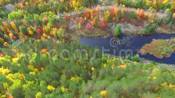 空中4k自然景观景观景观令人惊叹的秋色森林在平原视频的预览图