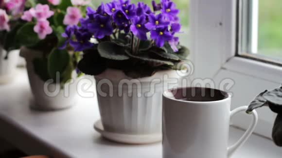 一杯热茶把蒸汽放在窗台上放在美丽的背景下视频的预览图