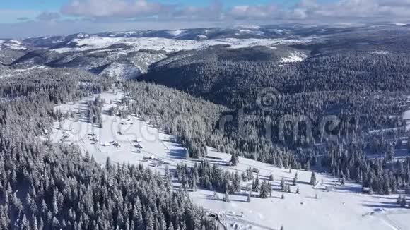 冬季空中4k无人驾驶飞机观雪覆盖杉树森林在山上视频的预览图