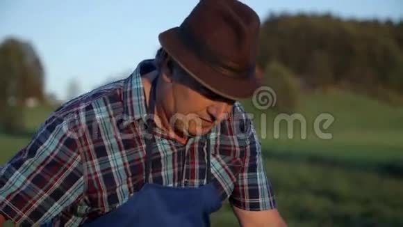 上了年纪的农民割草的脸视频的预览图