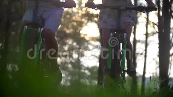 年轻男女骑着自行车穿过松林视频的预览图