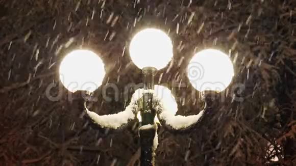 在路灯的灯光下美丽的强烈降雪特写视频的预览图