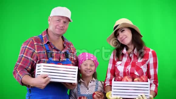 农民家庭的肖像手里拿着装满红熟有机苹果的木箱微笑着绿色视频的预览图