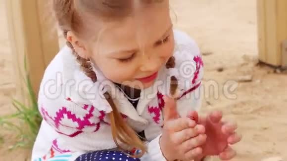 快乐的女孩玩明亮的瓢虫坐在手指户外特写视频的预览图