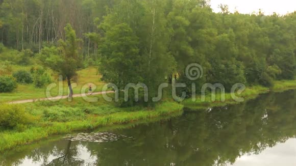 公园里的河全景视频的预览图