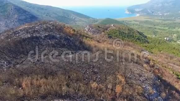 在一场大规模的野火之后飞越山区燃烧的森林视频的预览图