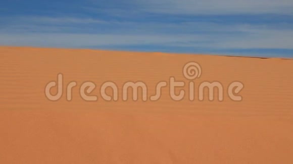 女人脚在沙丘上行走视频的预览图