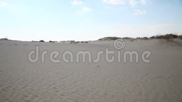 沙漠中有植被的沙丘视频的预览图