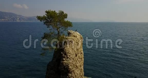 卡德雷加的岩石海洋松树鸟瞰海滨之间的圣玛格丽塔利图和波托菲诺利古里亚意大利视频的预览图