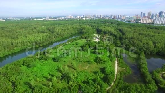 空中迈阿密法师视频的预览图