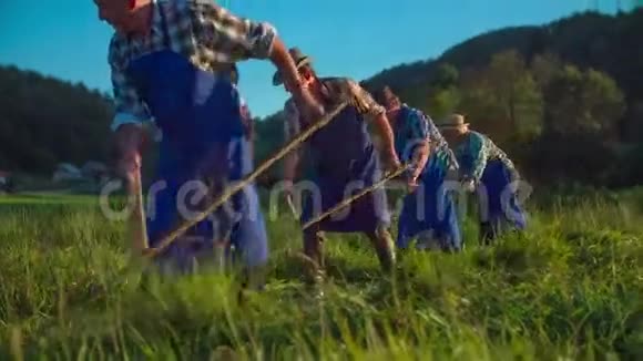 农民在传统的道路上割草时排队视频的预览图