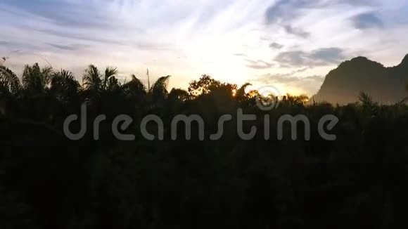 日出时在棕榈园进行无人机起飞高清鸟眼场景泰国视频的预览图