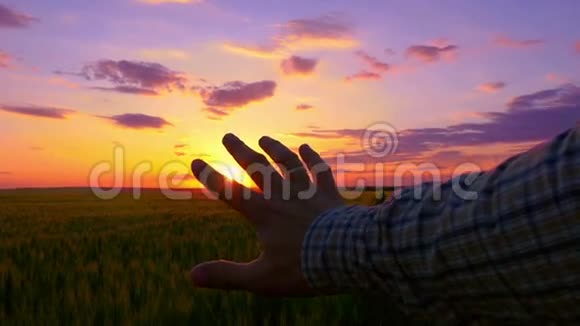 快乐的人用手指看着夕阳的灿烂阳光视频的预览图