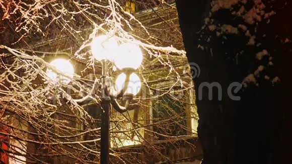 路灯照下美丽的雪视频的预览图