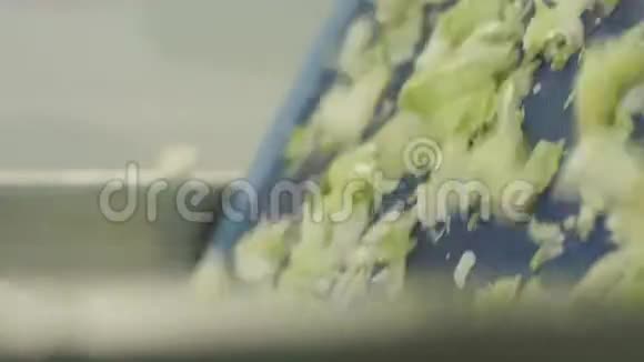 利恩瀑布上的绿色莴苣动作进入沸水特写视频的预览图