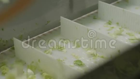在盒子里装绿色生菜视频的预览图